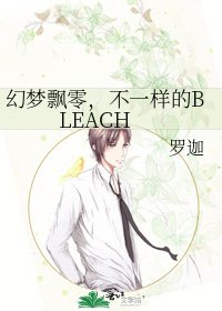 幻夢飄零,不一樣的BLEACH