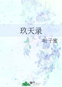 玖天錄