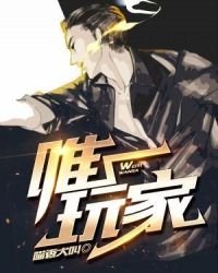 唯一玩家