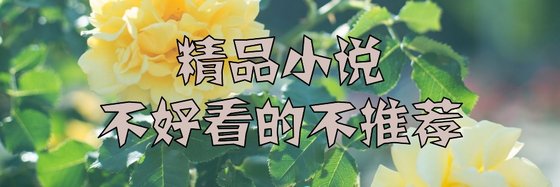 精品小说不好看的不推荐