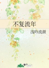 不复流年
